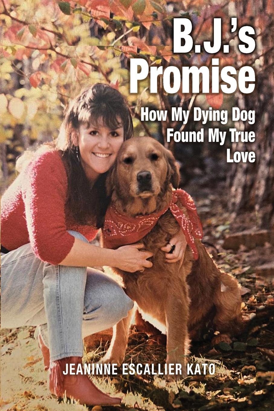 Knjiga B.J.'s Promise Mila Johansen