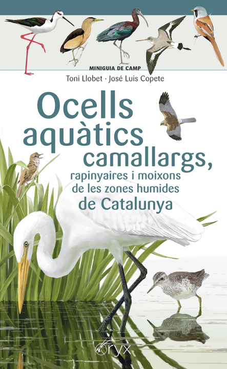 Knjiga Ocells aquatics camallargs, rapinyaires JOSE LUIS COPETE