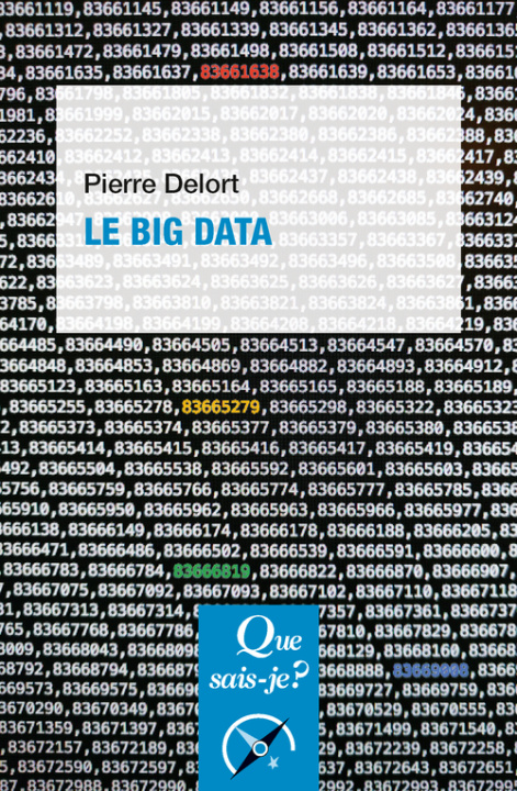 Book Le Big Data Delort