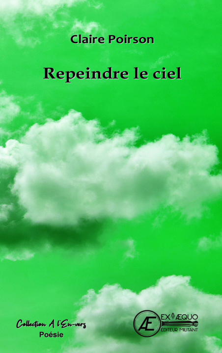 Kniha REPEINDRE LE CIEL POIRSON CLAIRE