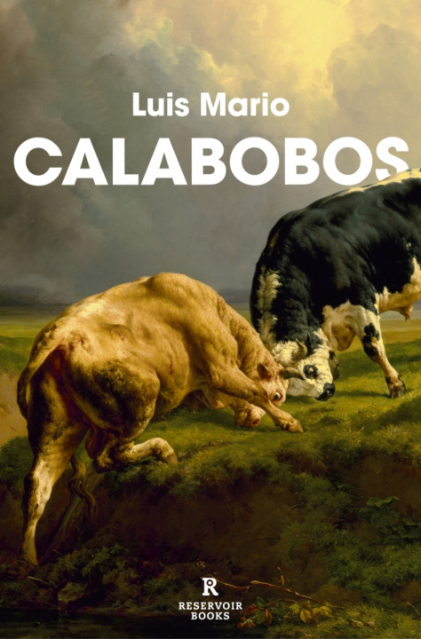 Książka Calabobos LUIS MARIO