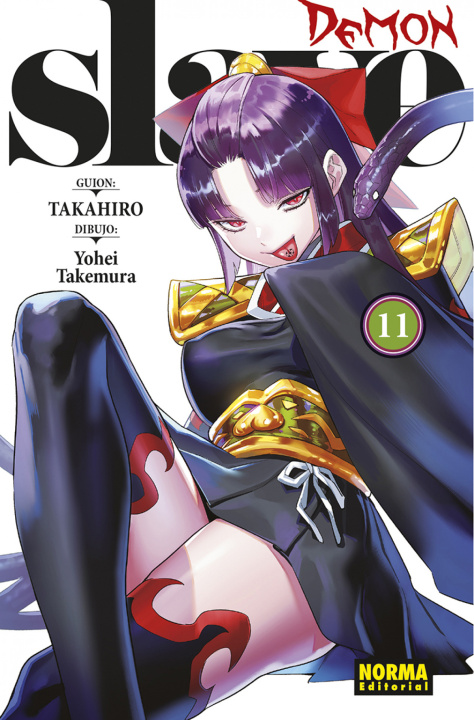 Boek DEMON SLAVE 11 Takahiro