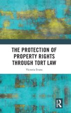 Protection of Property Rights Through Tort Law