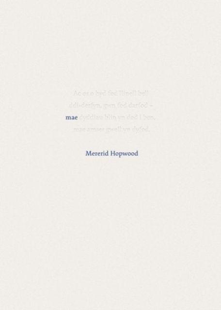 Книга Mae Mererid Hopwood