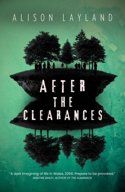 Kniha After The Clearances Alison Layland