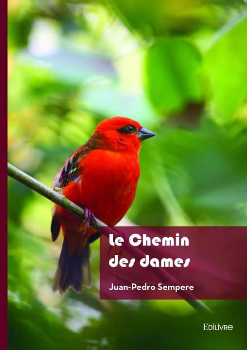 Kniha Le Chemin des dames Juan-Pedro Sempere