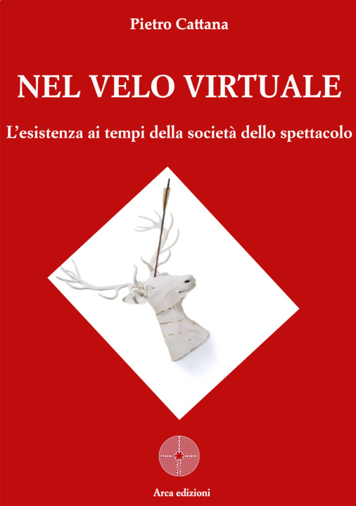 Kniha Nel velo virtuale Pietro Cattana