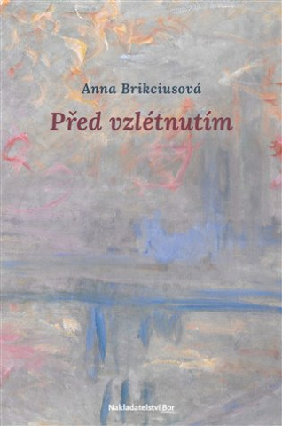 Boek Před vzlétnutím Anna Brikciusová