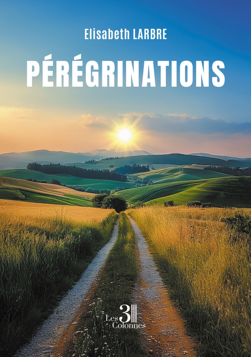 Knjiga Pérégrinations Elisabeth LARBRE