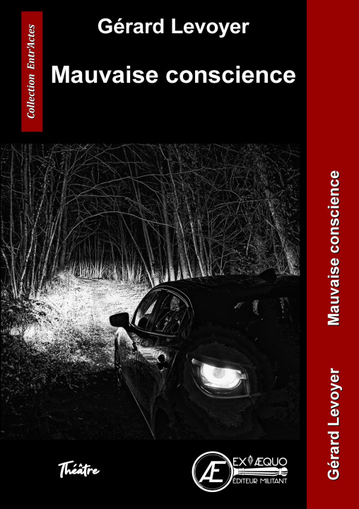 Kniha MAUVAISE CONSCIENCE LEVOYER GERARD