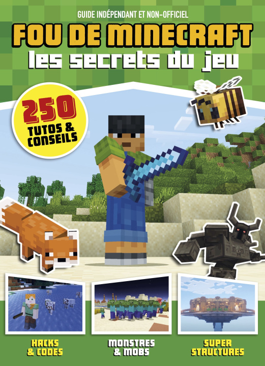 Kniha Fou de Minecraft 