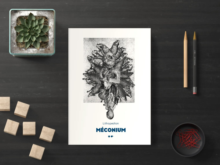 Book Méconium Saada