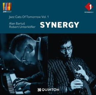 Audio Synergy 