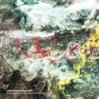 Audio Emerging Narratives 