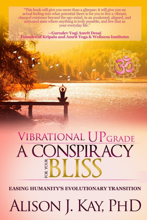 Kniha Vibrational UPgrade Alison J. Kay