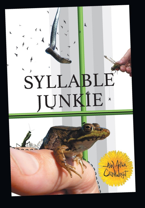Kniha Syllable Junkie Jason Arthur Cronkwright
