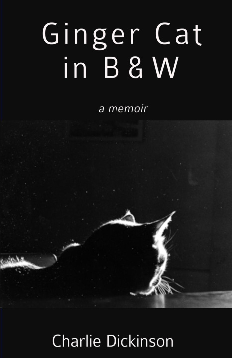 Kniha Ginger Cat in B & W Charlie Dickinson