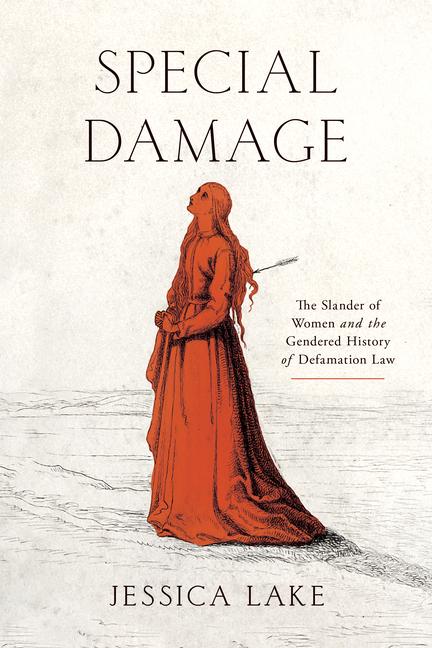 Kniha Special Damage Jessica Lake