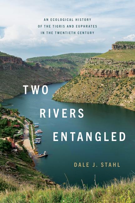 Kniha Two Rivers Entangled Dale J. Stahl