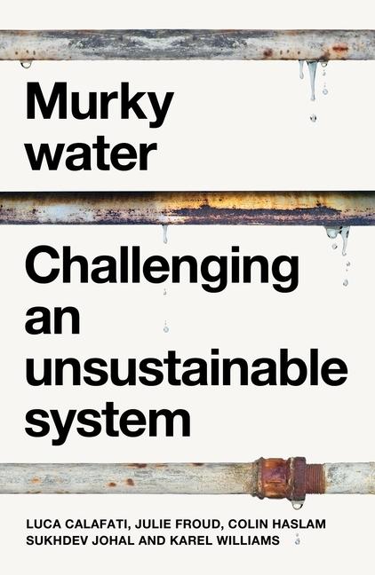 Kniha Murky Water Julie Froud