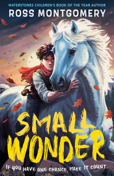 Kniha Small Wonder Ross Montgomery