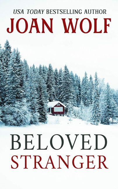 Kniha Beloved Stranger Joan Wolf