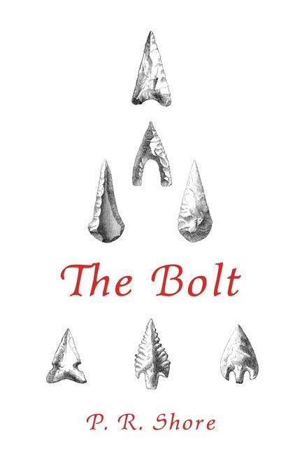 Kniha The Bolt Helen Madeline Leys