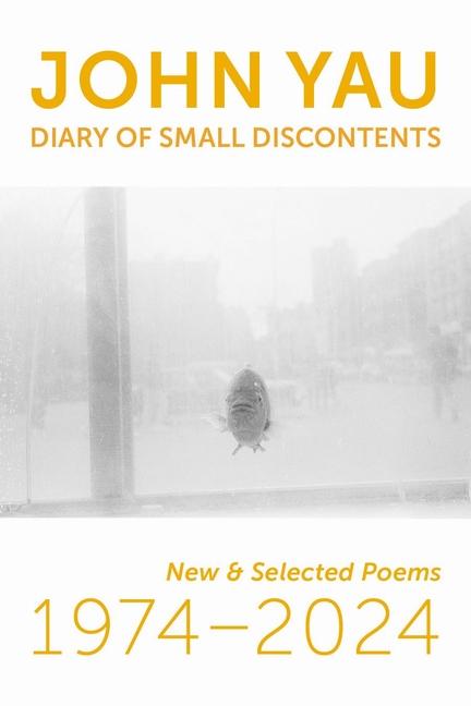 Kniha Diary of Small Discontents John Yau