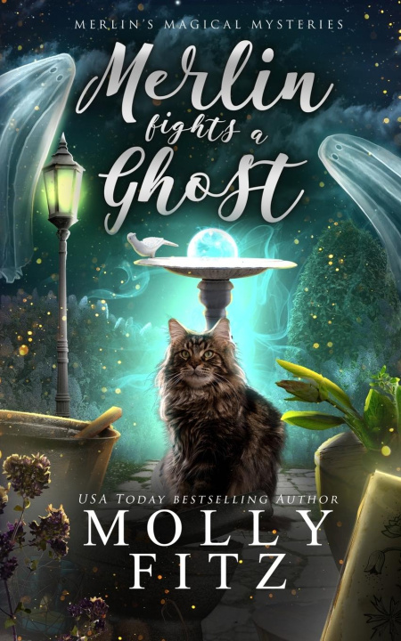 Knjiga Merlin Fights a Ghost Molly Fitz