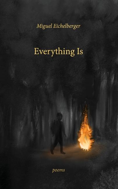 Buch Everything Is 