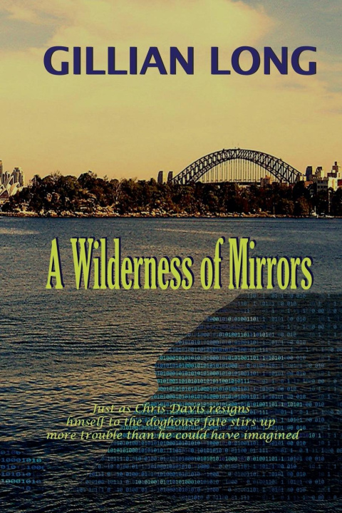 Carte A Wilderness of Mirrors Gillian Long