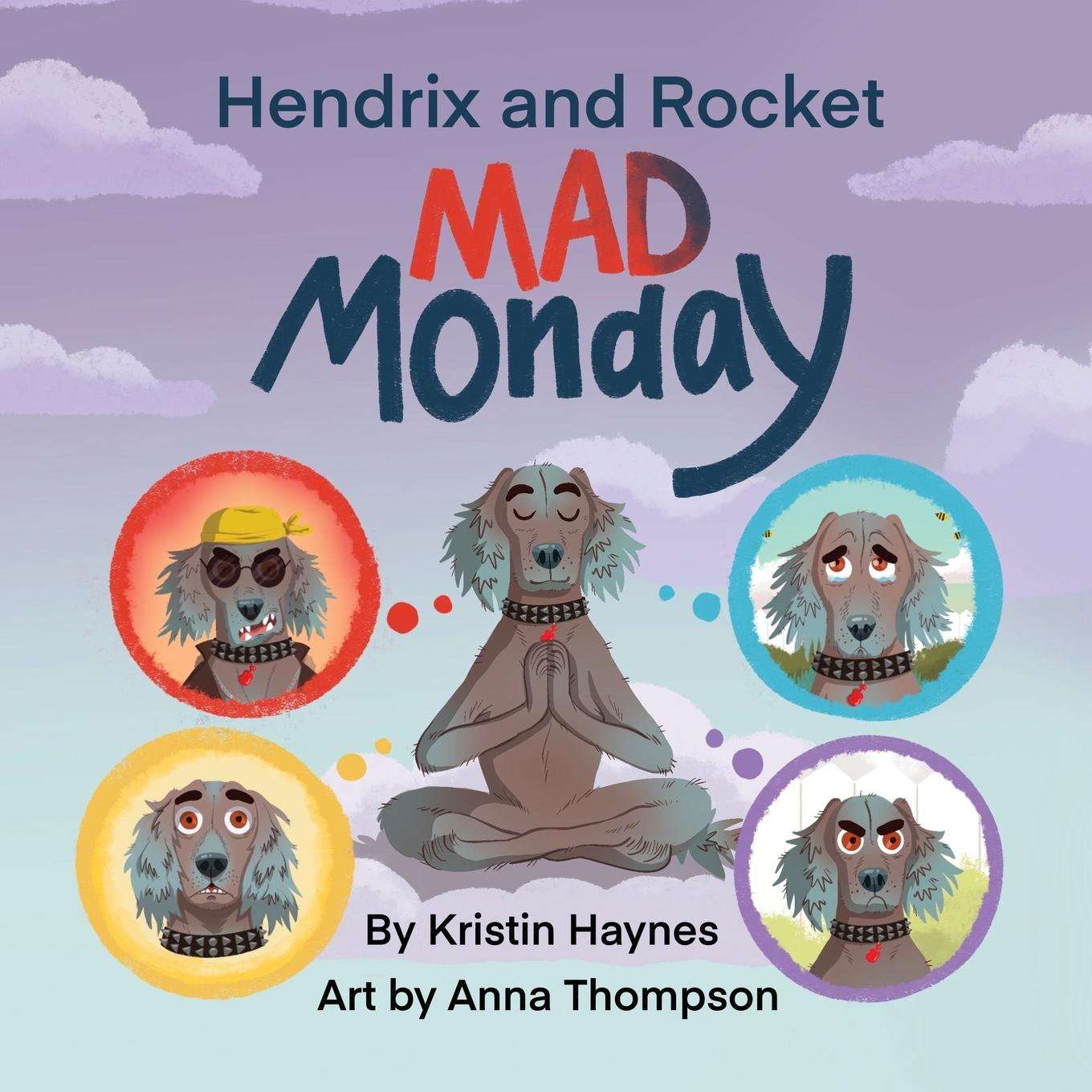 Buch Hendrix and Rocket Kristin Haynes