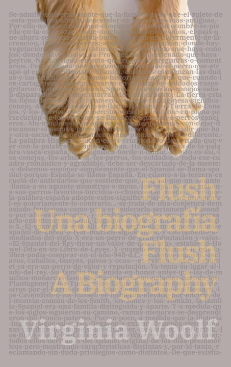 Kniha Flush Virginia Woolf
