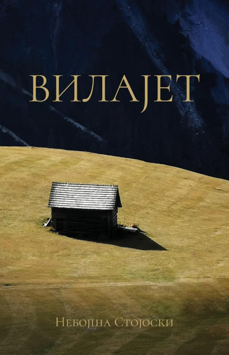Kniha Vilajet Nebojsa Stojoski