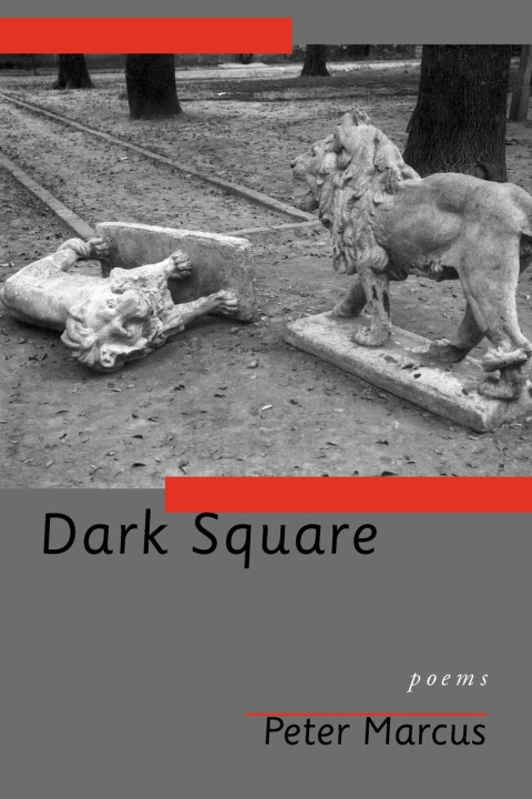 Kniha Dark Square Peter Marcus