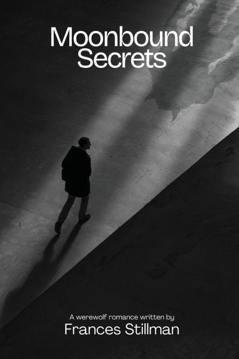Kniha Moonbound Secrets Frances Stillman