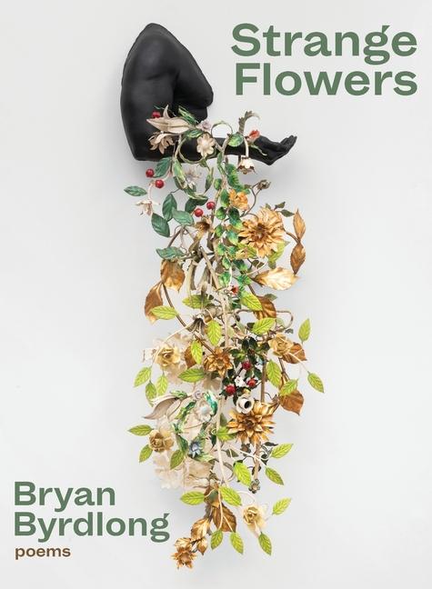 Buch Strange Flowers Bryan Byrdlong
