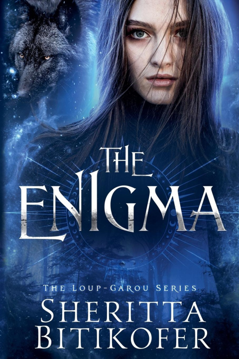 Book The Enigma Sheritta Bitikofer