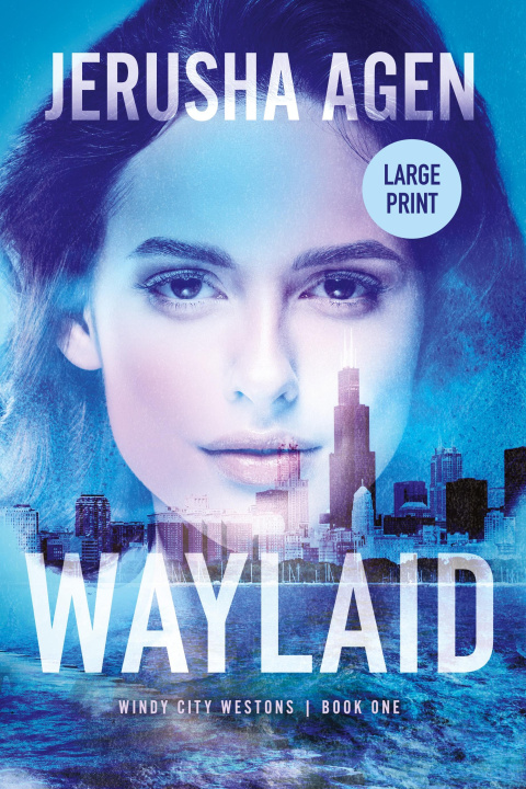 Kniha Waylaid Jerusha Agen