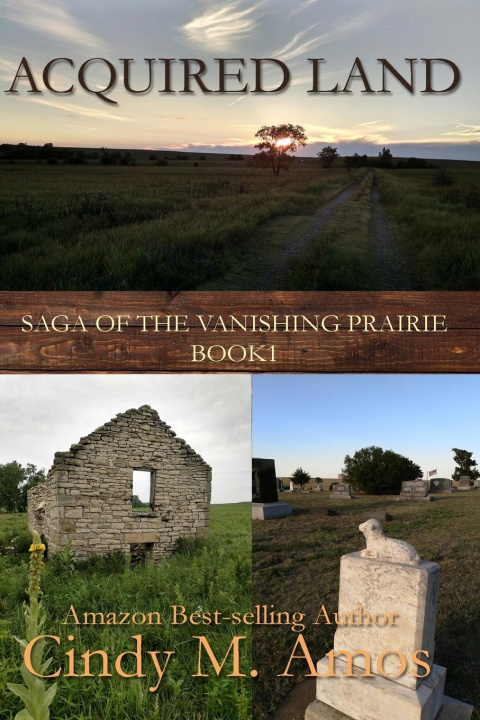 Kniha Acquired Land Cindy M. Amos