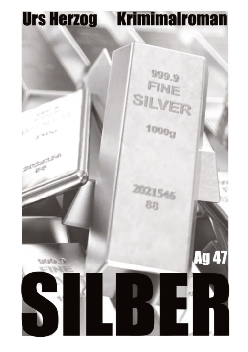 Kniha Silber Urs Herzog