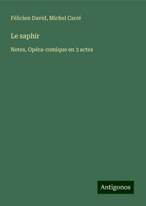 Kniha Le saphir Michel Carré
