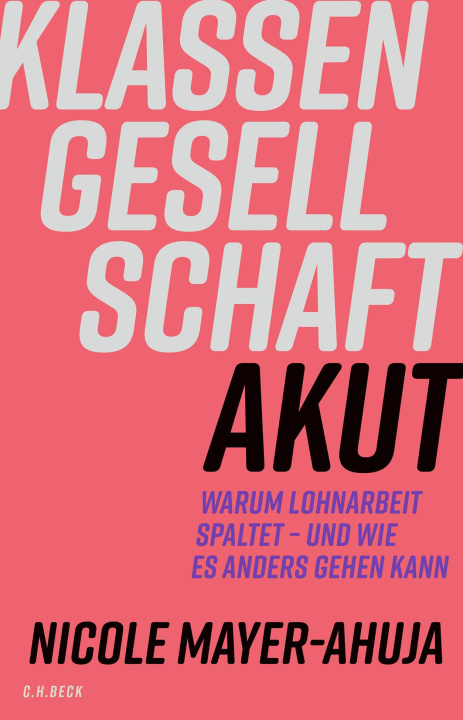 Kniha Klassengesellschaft akut Nicole Mayer-Ahuja