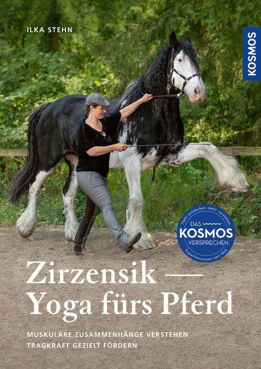 Kniha Zirzensik Ilka Stehn
