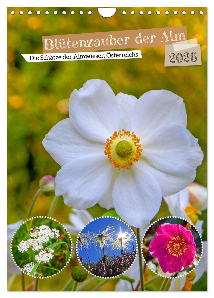 Kalendár/Diár Blütenzauber der Alm (Wandkalender 2026 DIN A4 hoch), CALVENDO Monatskalender Calvendo