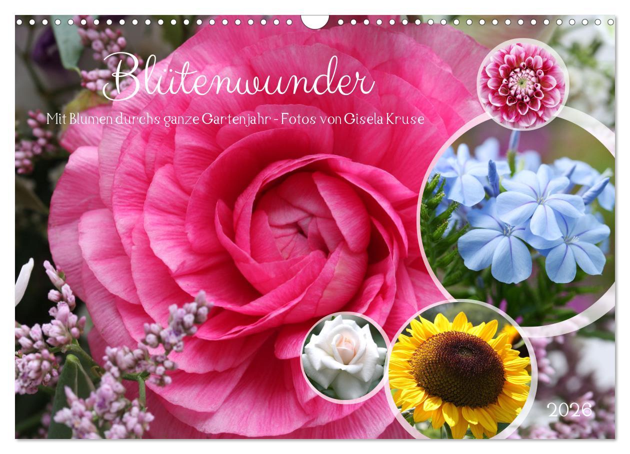 Kalendár/Diár Blütenwunder - Mit Blumen durchs ganze Gartenjahr (Wandkalender 2026 DIN A3 quer), CALVENDO Monatskalender Calvendo