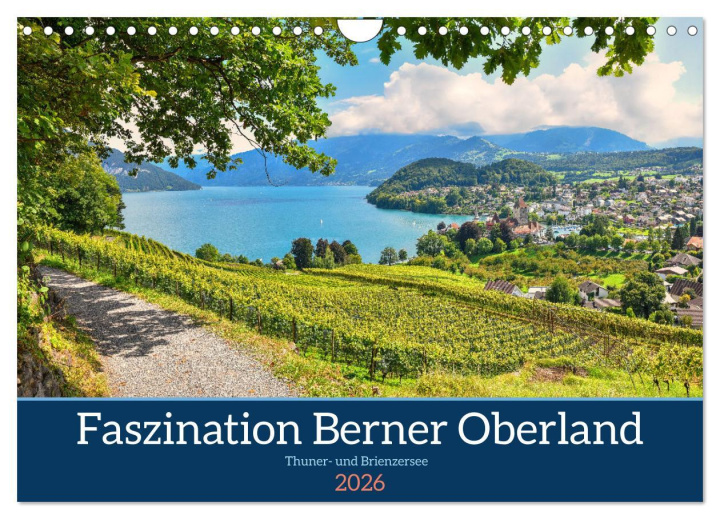 Kalendár/Diár Faszination Berner Oberland - Thuner- und Brienzersee (Wandkalender 2026 DIN A4 quer), CALVENDO Monatskalender Calvendo