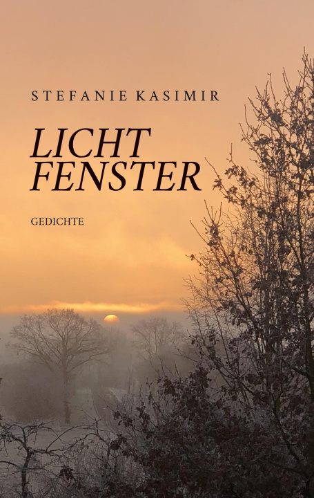 Kniha Lichtfenster 