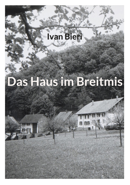 Knjiga Das Haus im Breitmis Ivan Bieri