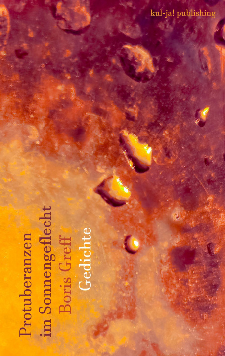 Boek Protuberanzen im Sonnengeflecht 